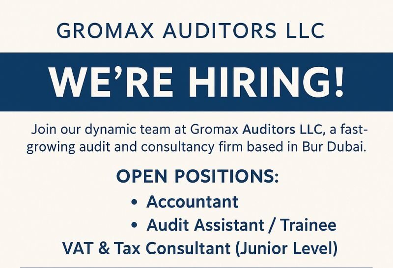 GROMAX AUDITORS LLC